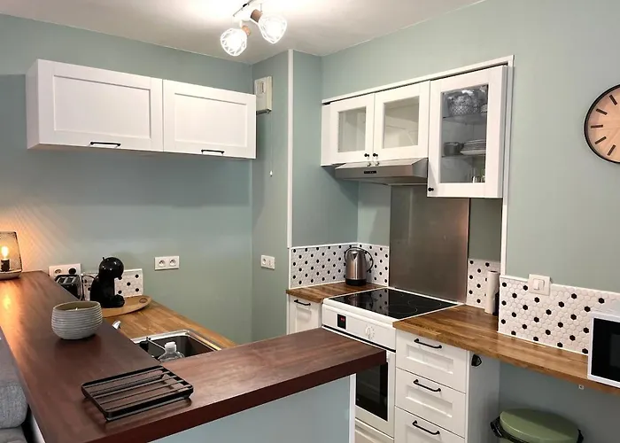 Apartment T3 4pers Quartier Michelet Et Facultes Avec Parking